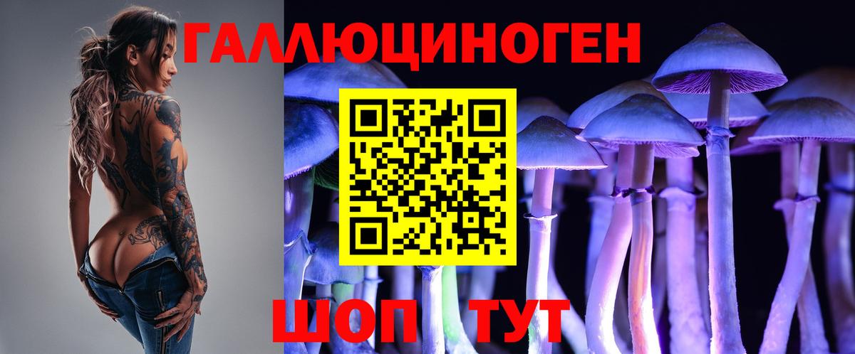 Псилоцибиновые грибы MAGIC MUSHROOMS  Вход с VPN  Братск 